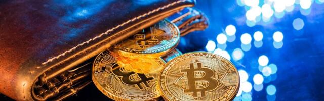 GainBitcoin Scam: CBI Arrests Darwin Labs Cofounder Ayush Varshney