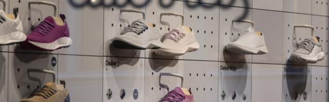 Allbirds announced a switch from shoes to AI and its stock jumped 600 percent