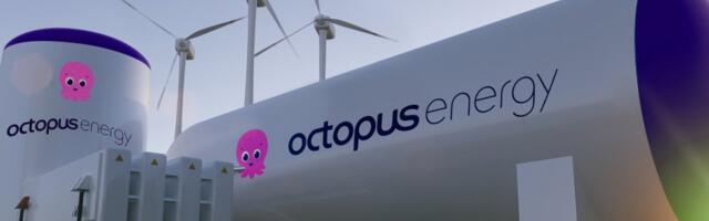 Clean energy startup Octopus Energy raises $800 million in funding to accelerate growth