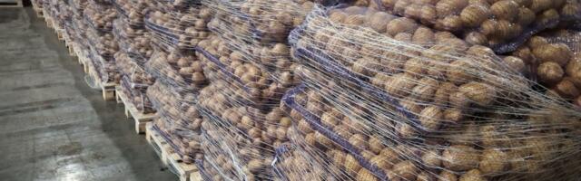 Талант эксперта или скрытая угроза: История спасения СТМ от миллионных убытков