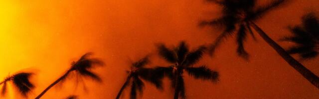 Wildfire risk is everywhere and growing