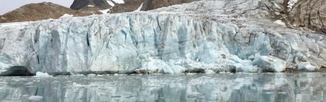 The Ocean Is a Carbon Toilet. Marine Heat Waves Are Clogging It.