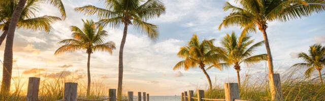 I've lived in Florida for over 25 years and always tell tourists to visit these 7 spots