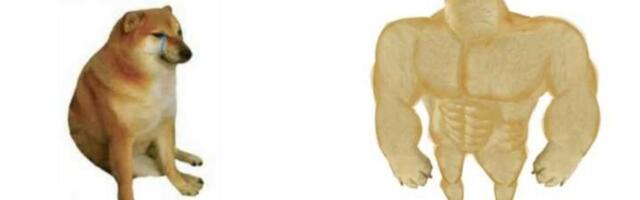 Нагрузочное тестирование YMatrix