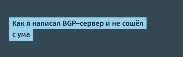 Как я написал BGP-сервер и не сошёл с ума