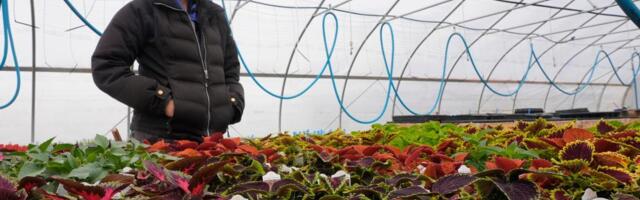 With organic fields next door, conventional farms dial up the pesticide use, California study finds