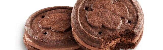 New Girl Scout Cookies Taste Like Rocky Road Ice Cream: How to Get Them