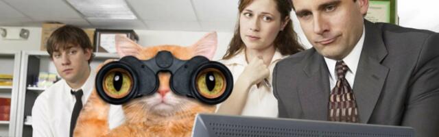 Наш подход к командной диагностике: 5 инсайтов, которые помогут выстроить системную работу