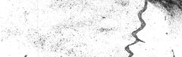 Deep-Sea Creatures Are Crafting Their Own Worlds Beneath the Ocean Floor, Study Finds