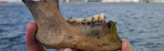 Lost Warship From Battle of Copenhagen Found After 225 Years