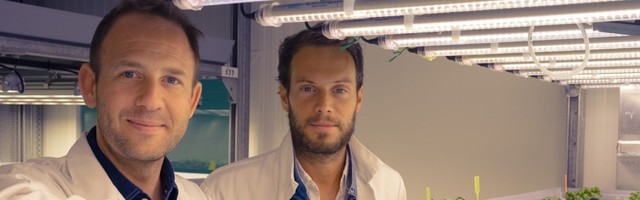 Jungle says it’s cracked how to make vertical farms profitable