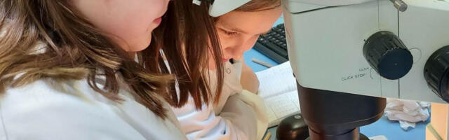 Marine Institute Celebrates Women in Science