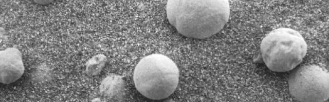 Mushrooms on Mars is a hoax — stop believing hack ‘scientists’