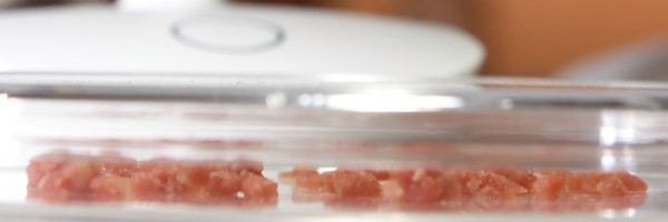 Lab-grown meat project gets first taste of EU public funds