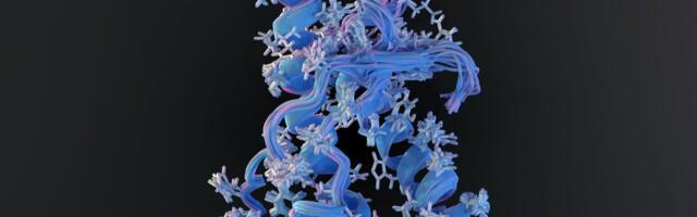 U.S. Woman Dies From Mad Cow-Like Brain Disease That Lay Dormant for 50 Years