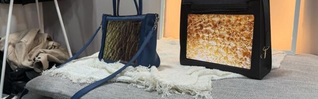 CES 2026: Would you spend $9K on this OLED smart purse?