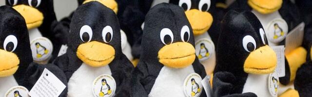 Linux may be ending support for older network drivers due to influx of false AI-generated bug reports — maintenance has become too burdensome for old largely-unused systems