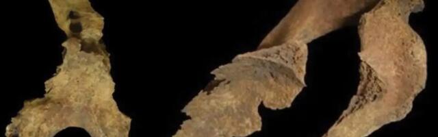 Did Iron Age Britons remove brains of the dead?