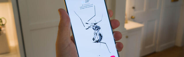 Wallpaper Wednesday: More great phone wallpapers for all to share (January 1)
