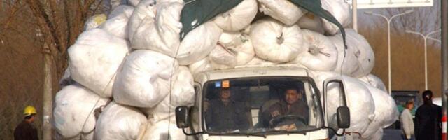 Данные переехали. Команда — нет