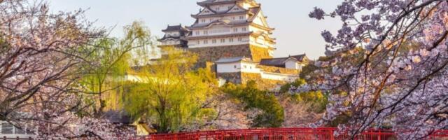 Charge Foreigners More: Japan to Expand Two-Tiered Pricing at Tourist Sites 