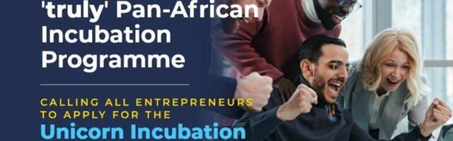 Unicorn Group launches pan-African incubation programme