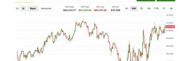 Bitcoin steadies near $67,000 as traders pay for crash protection