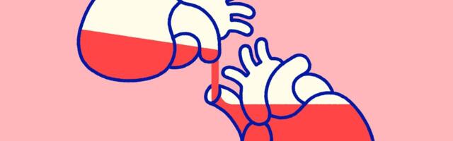 The organ donation boom complicating the boundary between life and death