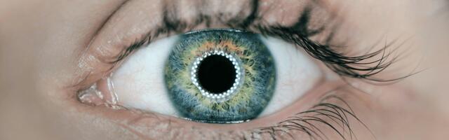 Why trusting AI and machines is a question of balance