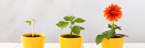 The stages of traditional fundraising