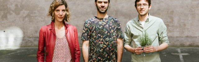 Can vertical farming grow beyond herbs and leaves?