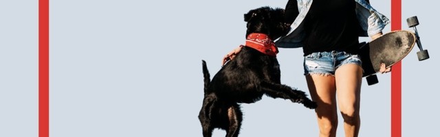 Unleashed accelerator: meet the pack of 2021