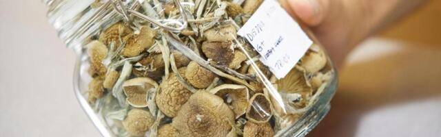 Oregon launches legal psilocybin access amid high demand and hopes for improved mental health care