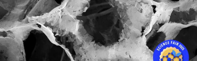 Gizmodo Science Fair: A Non-Toxic Alternative to ‘Forever Chemicals’
