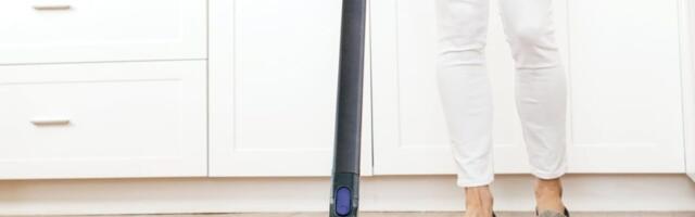 The easiest way to keep pet hair under control is 40% off right now