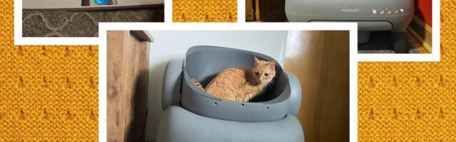 Neakasa M1 Self-Cleaning Litter Box Review: Automated No-Scoop Cleaning