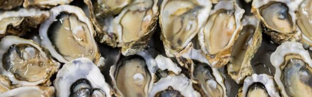 Raw Oysters Behind Salmonella Outbreak Sweeping Across the US, CDC Warns
