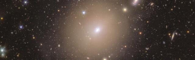 Euclid telescope spots a rare Einstein Ring in a nearby galaxy