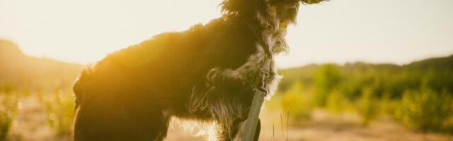 7 Photography Techniques For Mastering Iconic Film Looks Using Digital Gear