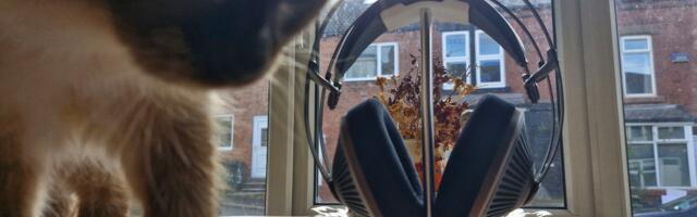 Meze Audio 105 Silva are the bucolic listening headphones audiophiles will adore –the Romanian answer to ‘hygge’