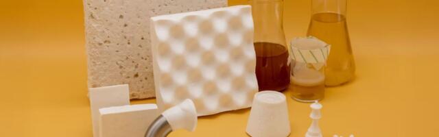 Delft’s Foamlab raises €3 million to replace fossil-based plastics with its bacterial cellulose foams