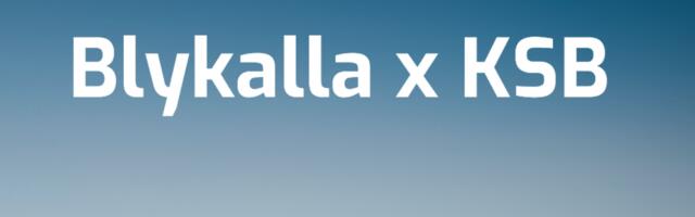 Sweden’s Blykalla secures key collaboration with KSB for advanced nuclear systems