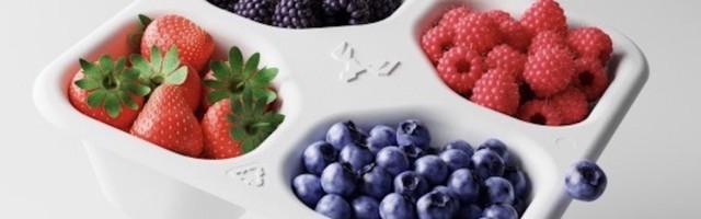 How Metsä Spring & Its Initiatives Help The Development Of New Materials For A Sustainable Future