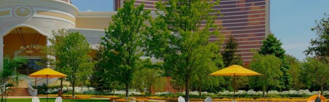 More Hotels Opt for Fake Grass to Save  Water for the Sake of Sustainability