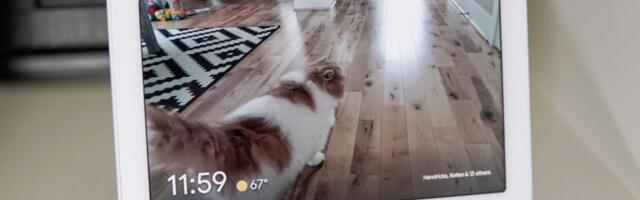 Spanish Support Comes to Gemini for Home, New Expressive Lighting Commands