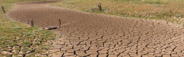 AI Model Indicates Global Temperatures Will Rise Faster Than Expected