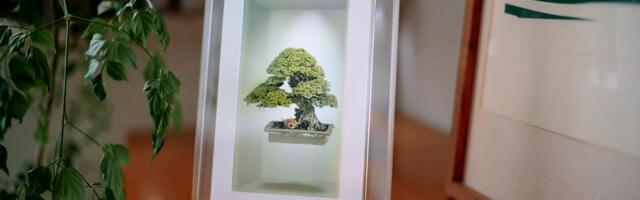 Looking Glass' Musubi showcases its holographic display in a consumer-friendly package