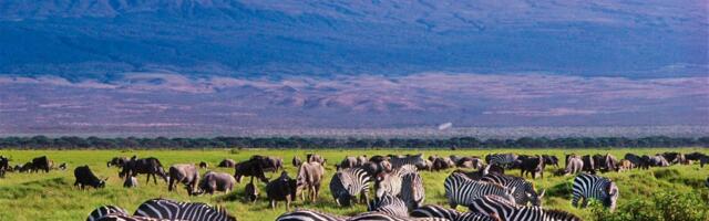 Kenya Offers Incentives to Indian Travel Agents. Plus: New Metro Route to the Taj Mahal — India Report