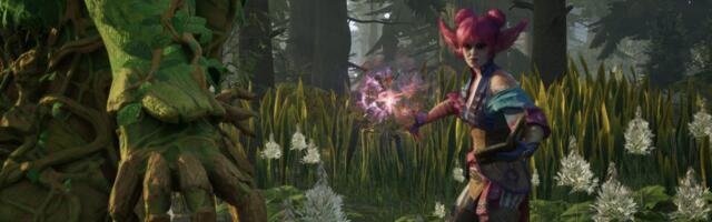 Avowed: How to change clothing for you and your companions – Transmog explained