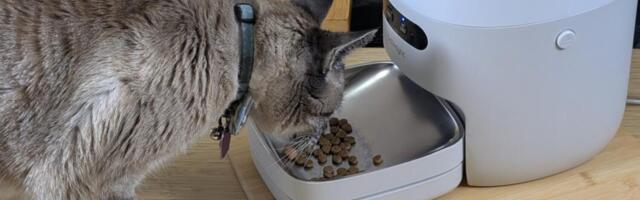 My Cat Couldn't Keep Food Down. This Automatic Pet Feeder Changed Everything